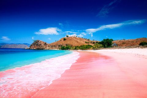 pink beach, komodo island