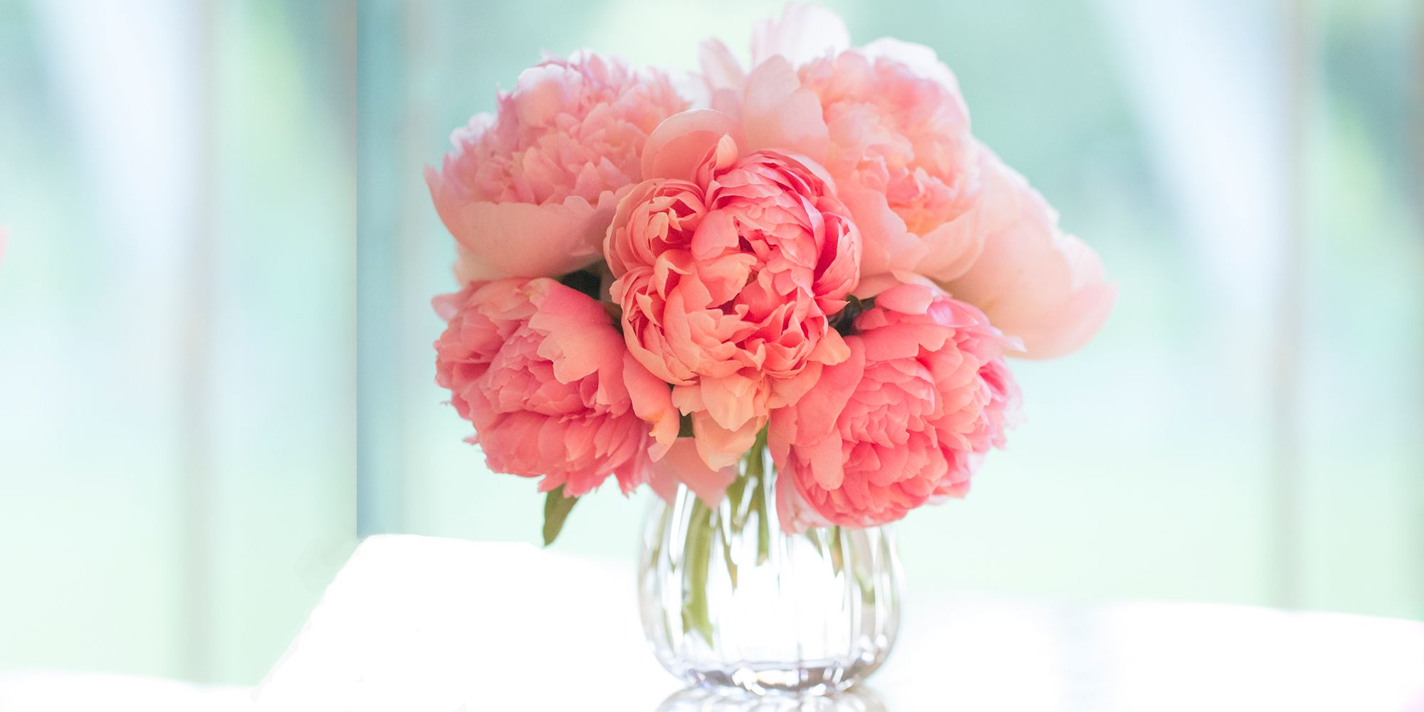 12 Best Flowers For Valentine S Day Popular Roses Arrangements