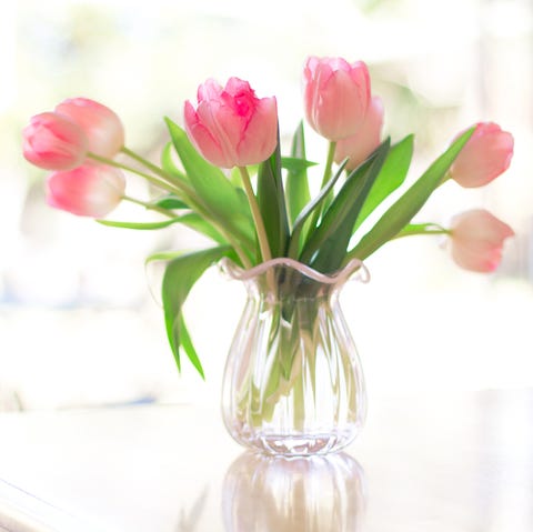 Easter Colors - Pink