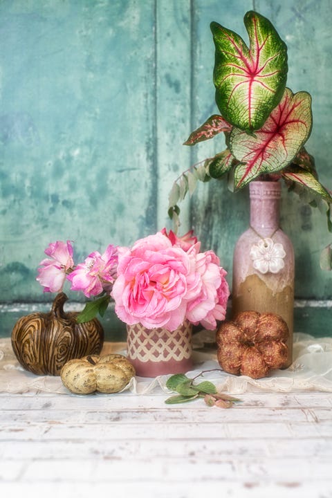 Una composizione con zucca, rose e Caladium una composizione con zucca, rose e caladium