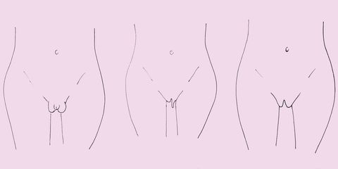 Fat Outer Pussy Lips - Is my vagina normal? Here are the 7 different types of labia