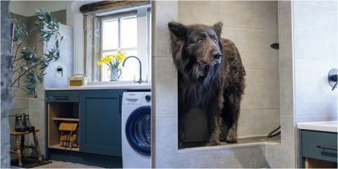 bootility room complete with a mid level dog shower, custom storage and laundry area, is designed and installed using the company’s all new solid ash kitchen furniture, pembroke, in popular forest green hand painted finish