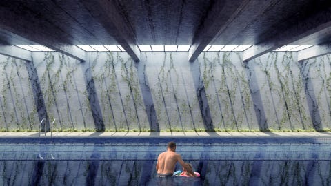 Proyecto Forest del estudio de arquitectura Nudes proyecto forest del estudio de arquitectura nudes, un colegio que conecta con la naturaleza