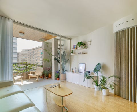 salón moderno y minimalista decorado con plantas y abierto a la terraza