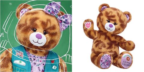 Stuffed toy, Teddy bear, Plush, Toy, Bear, 