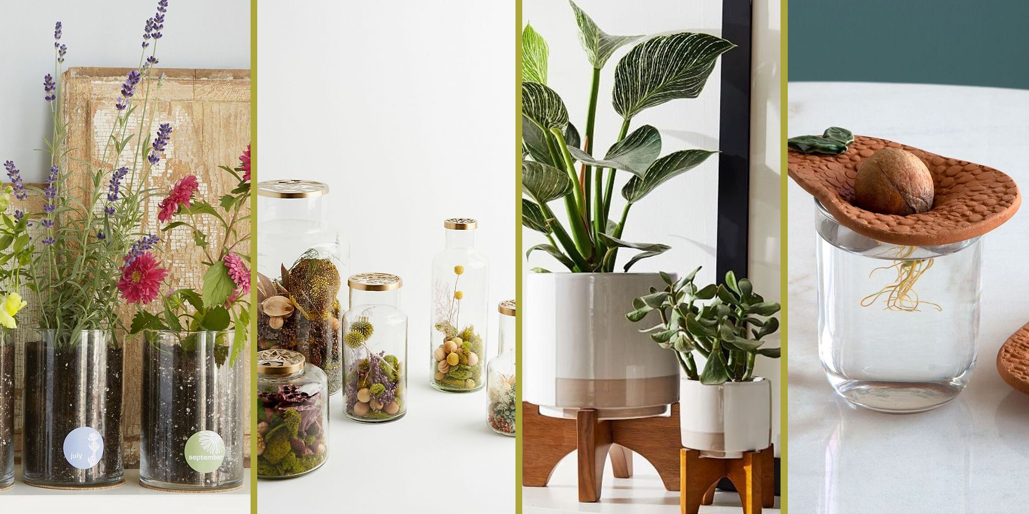 best gifts for plant lovers