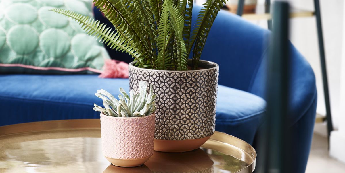 Best Indoor Plant Pots For House Plants, Outdoor Plant Pots Uk
