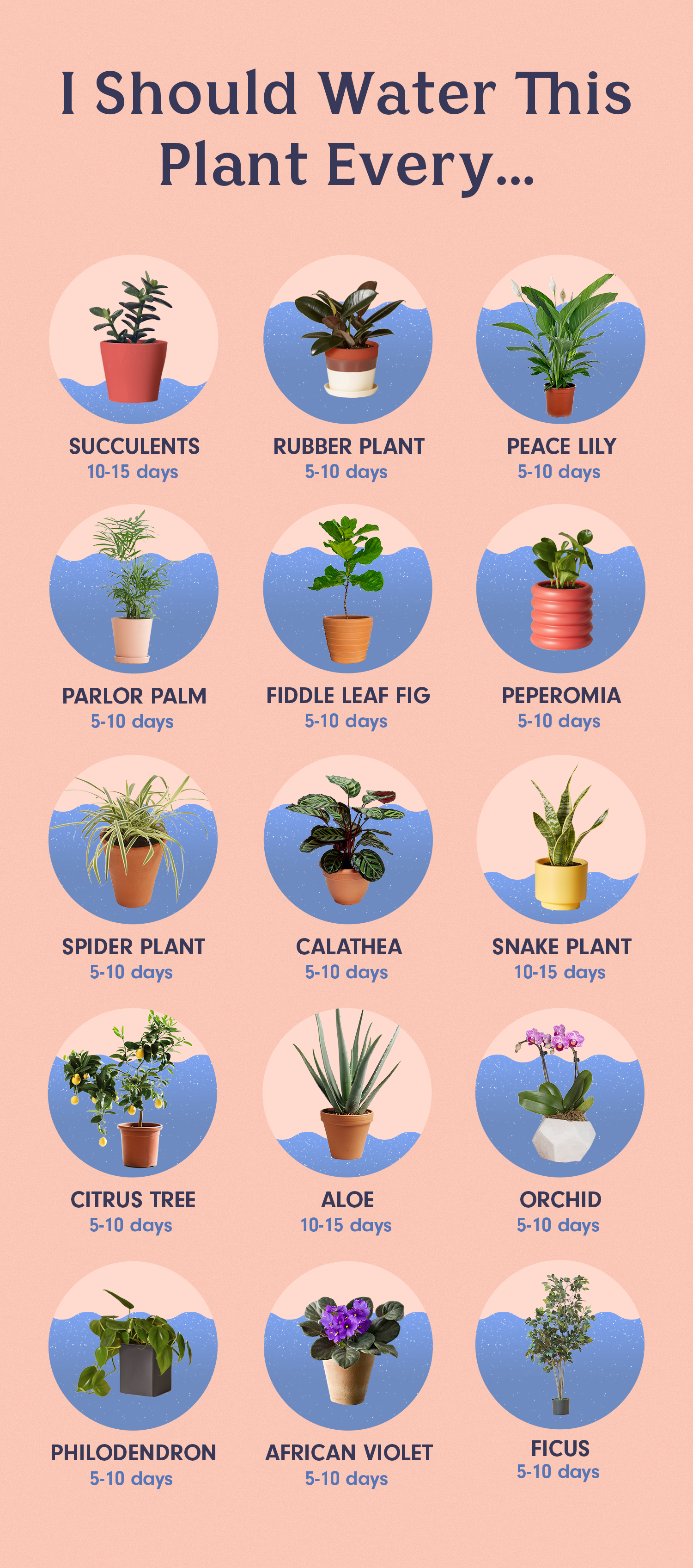Plant Moisture Chart