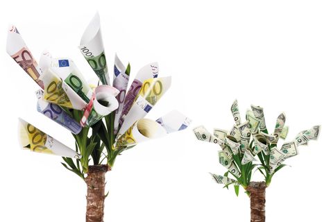 plant with flowers made from euro and dollar notes against white background