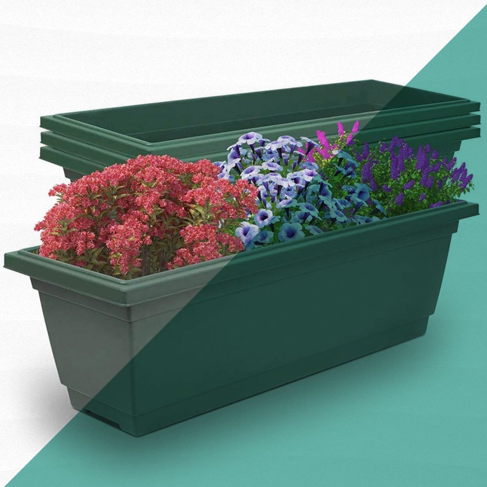 Grow Your Favorite Blooms in These Top-Rated Window Boxes