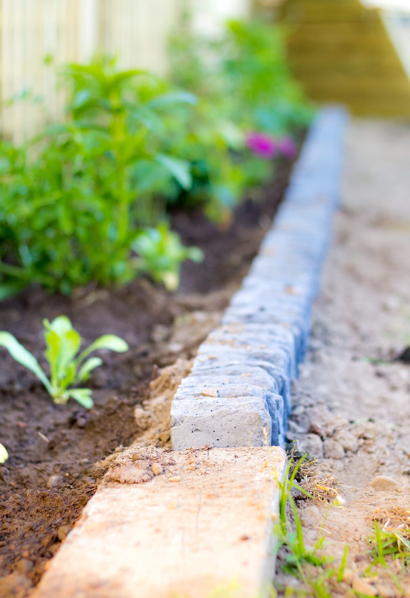 La bordure de lit de plantation