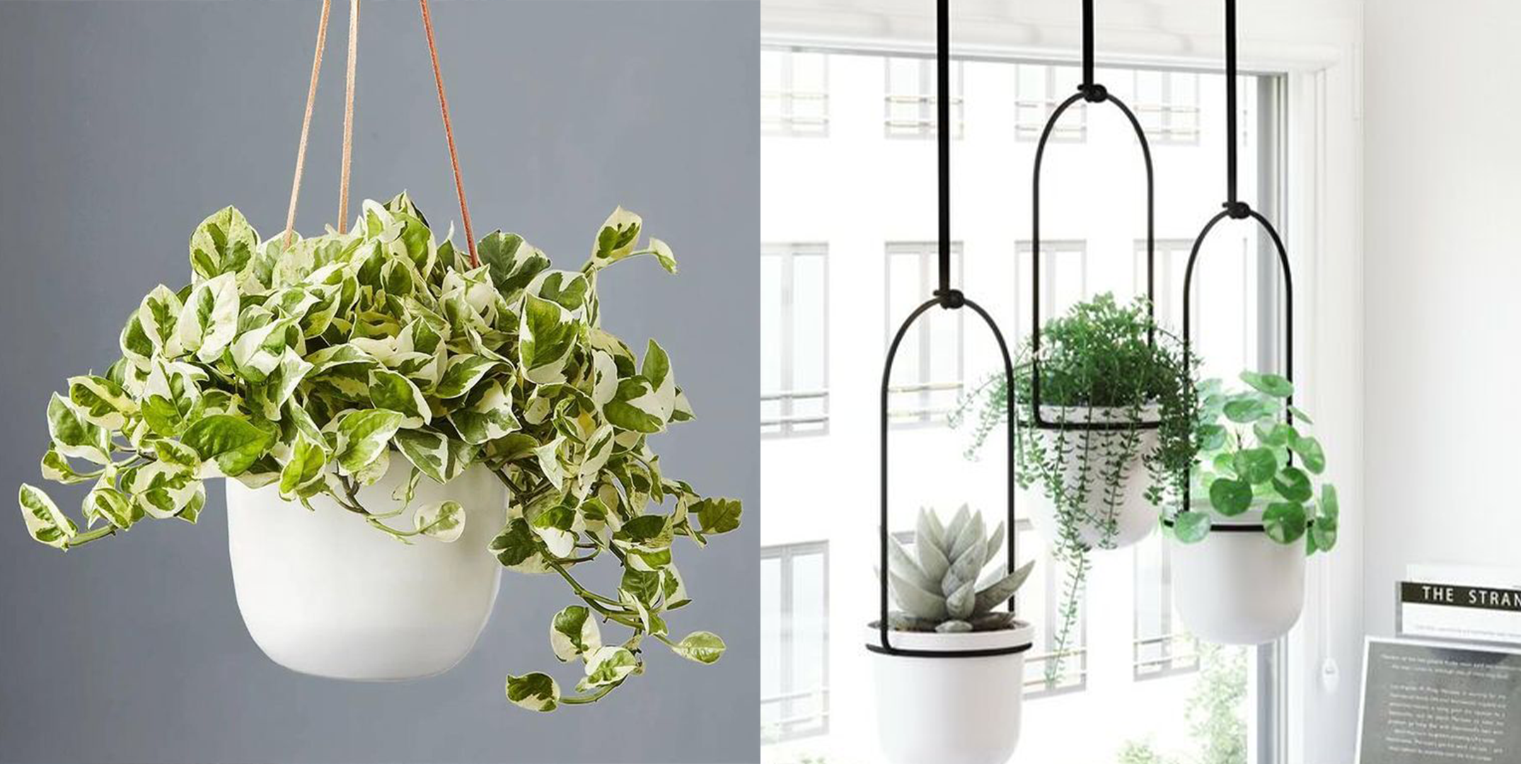 Large Hanging Planters for Indoor Outdoor Plants,Hanging Flower Pots Marble Patt 