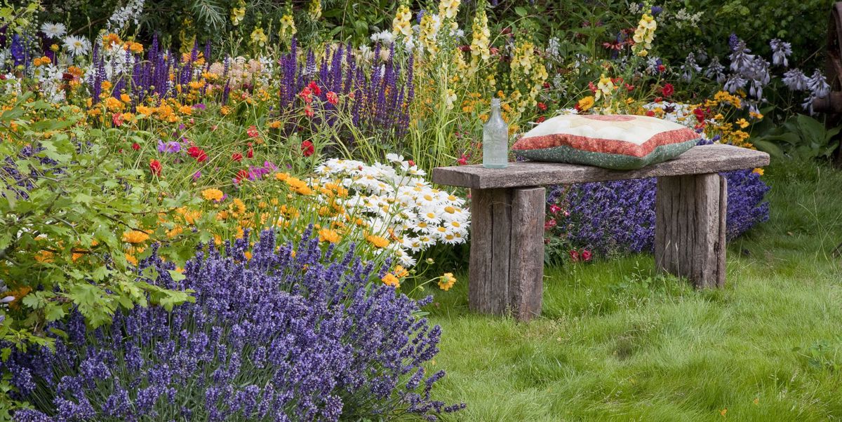 12 Plants That Repel Mosquitoes