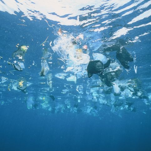 plastic garbage is swimming on rhe water surface