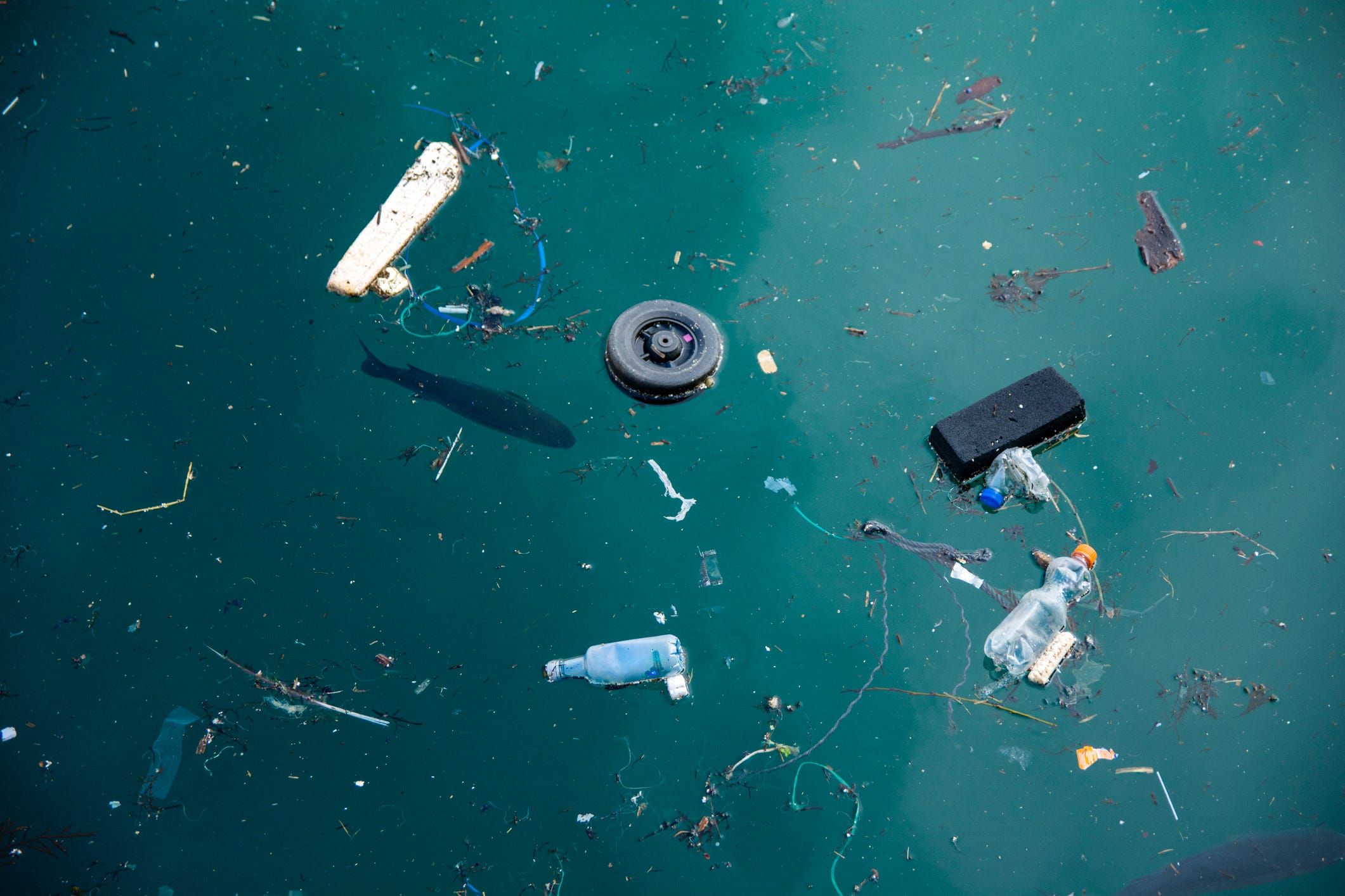 How and Why Microplastics Invade Our Everyday Lives