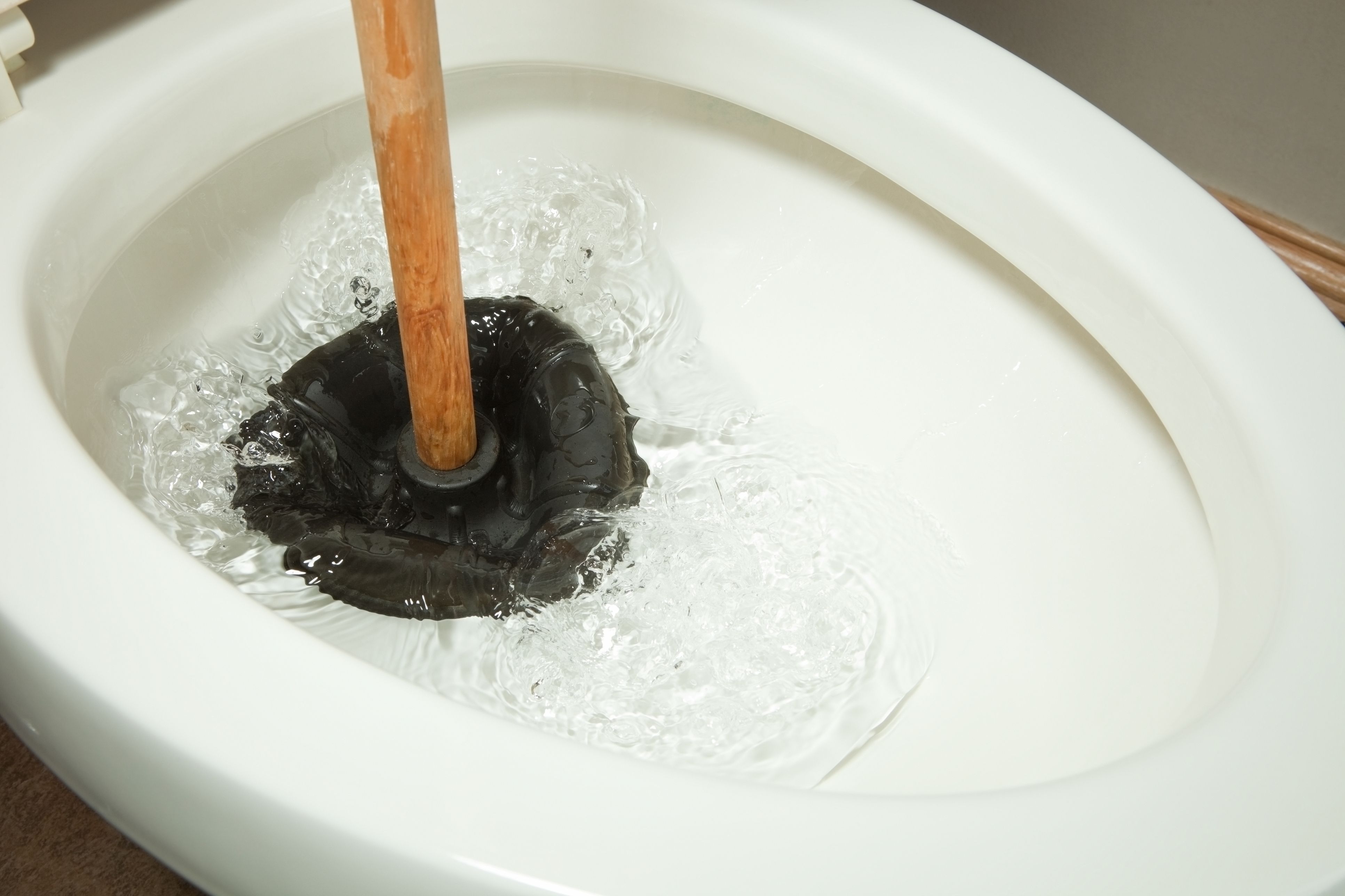 Unclog the Toilet Using a Toilet Plunger