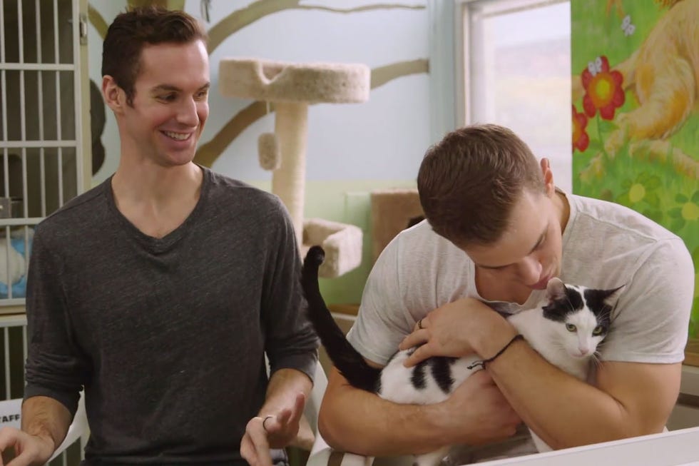 Watch This Couple Search For Their First Pet In Pet Me Please Episode 4