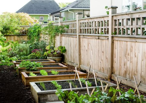 How To Start A Garden Build This Raised Garden Bed