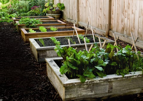 How To Start A Garden Build This Raised Garden Bed