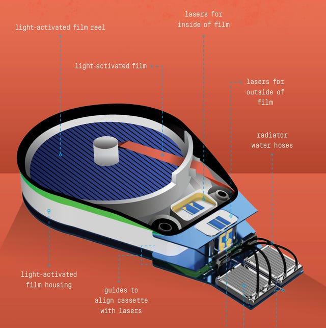 plasma kinetics