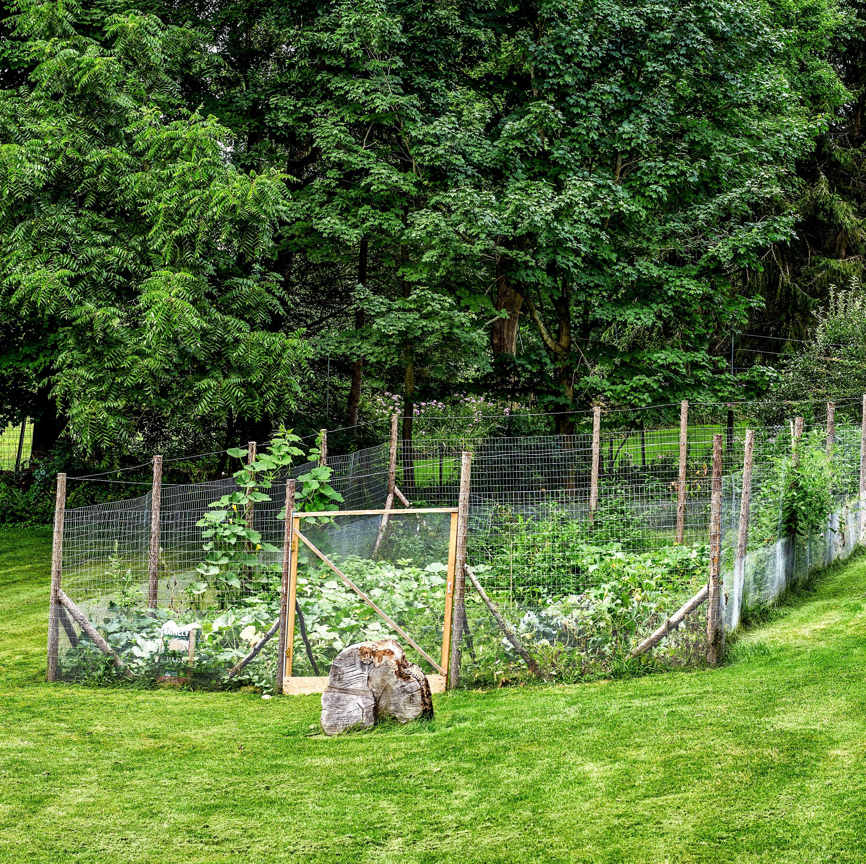 How to Make a Great Garden Fence