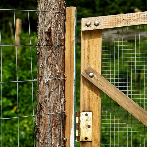 How to build a garden fence to keep animals out How To Make A Great Garden Fence Garden Fence Diy