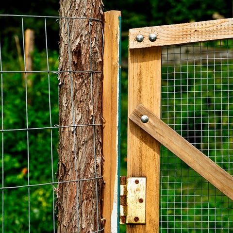 How To Make A Great Garden Fence Diy Garden Fence Diy, How To Make A Garden Fence Gate