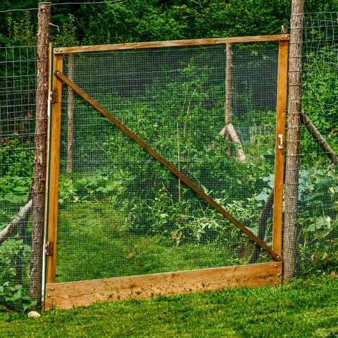 How to Make a Great Garden Fence | Garden Fence DIY
