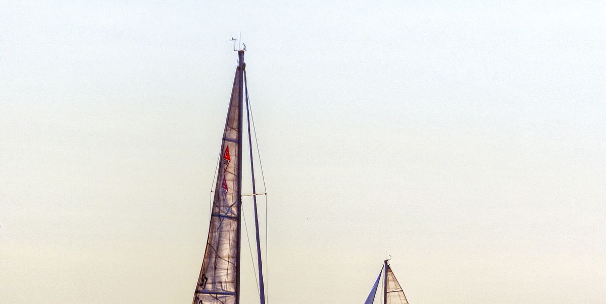 the beginner's guide to sailing
