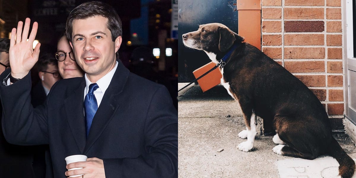 Why Do Pete Buttigieg's Dogs Have Better Social Media Game 