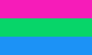 bandera polisexual