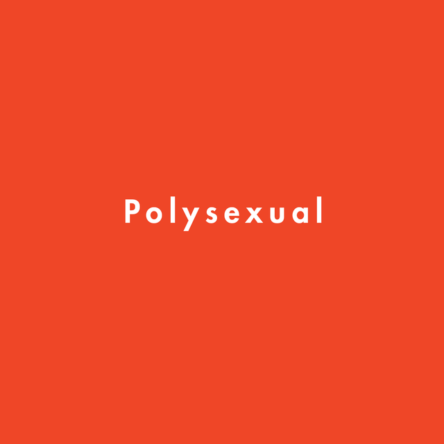 polysexual definition