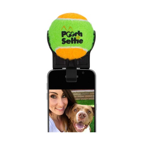 pooch selfie pooch selfie