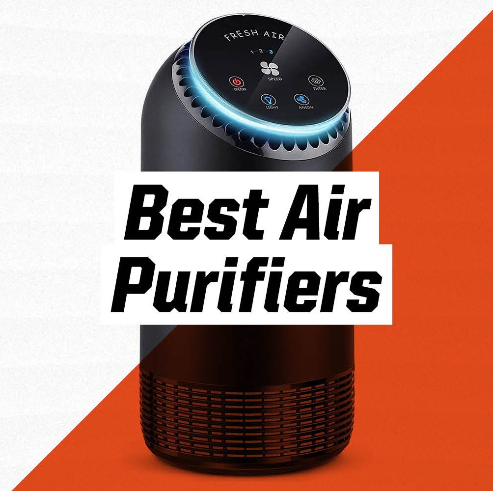 The 10 Best Air Purifiers for a Breath of Fresh Air