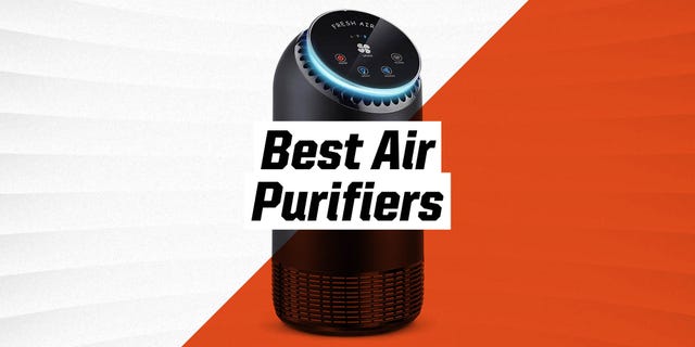 Best Air Purifiers 2021 HEPA Air Purifiers for Allergies, Pets, Mold