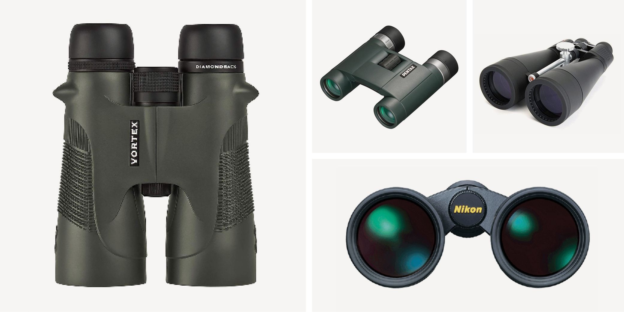 Best Binoculars For Wildlife Viewing: Buyer's Guide And Reviews