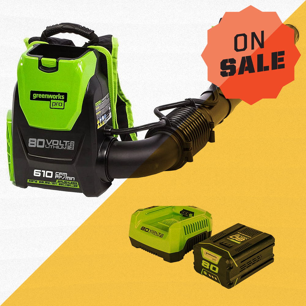 Score Up to 31% Off Editor-Approved Greenworks Lawn Equipment on Amazon