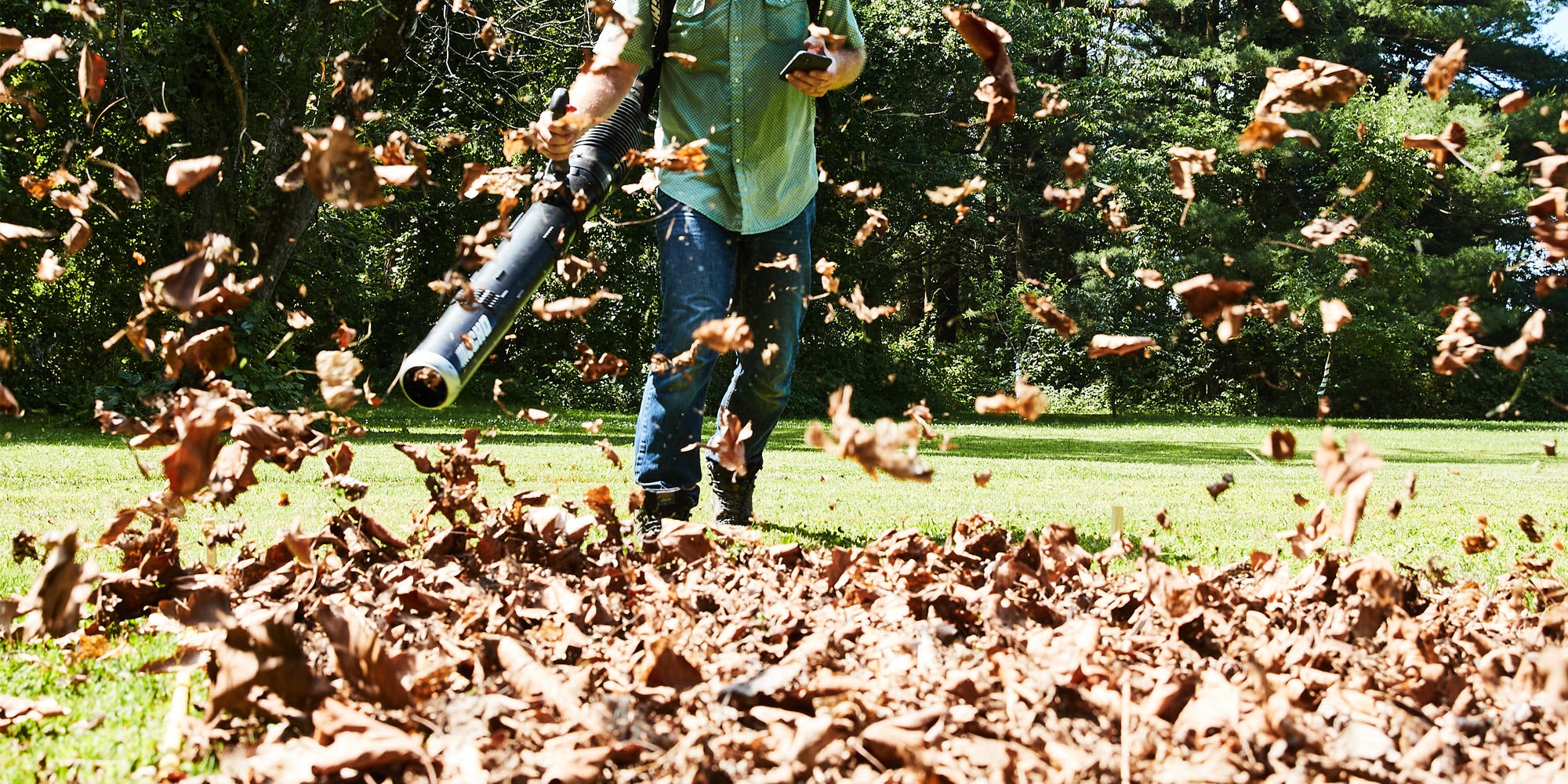 Leaf the Rake Behind and Reach for One of These Editor-Approved Cordless Leaf Blowers Instead