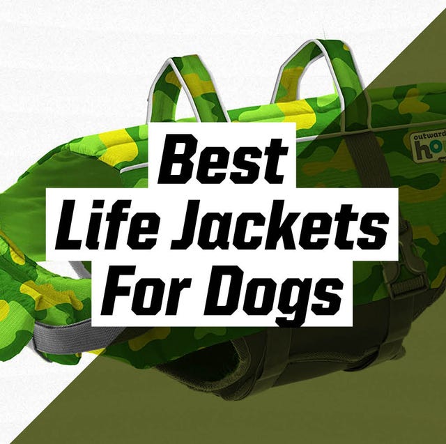 best life jackets for dogs