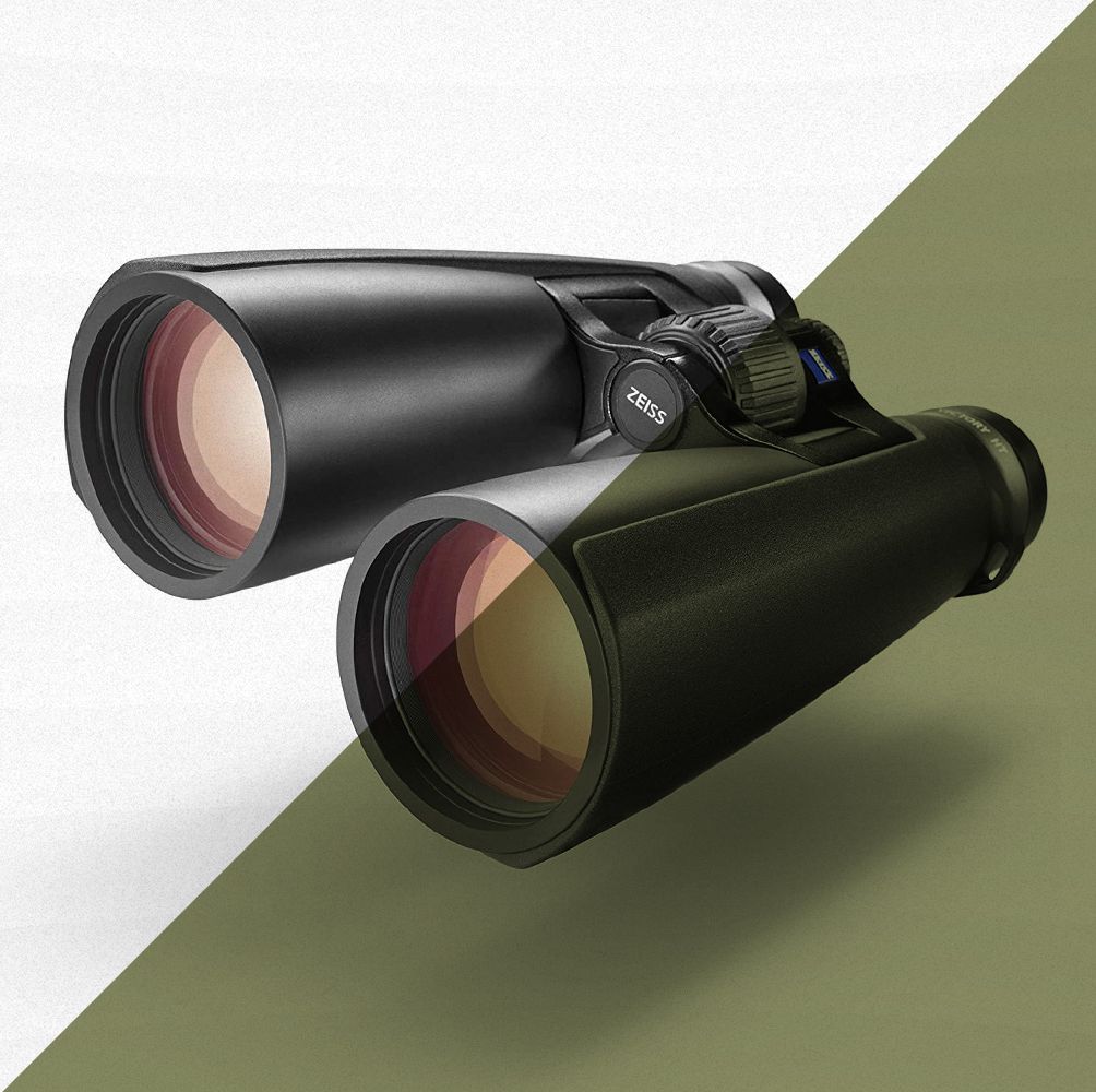 The 8 Best Hunting Binoculars for Hunting and Birding