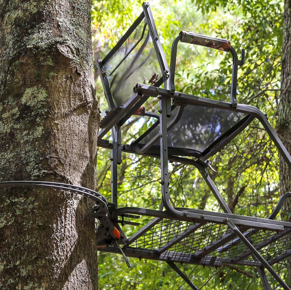 Take Your Hunting to The Next Level With These Expert-Recommended Ladder Stands