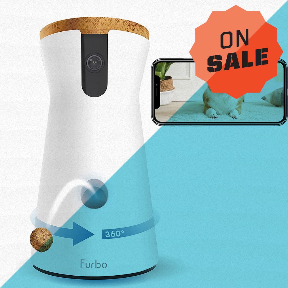 Pick Up the Furbo 360° Dog Camera While It's 30% Off During Amazon's Pet Day Sale