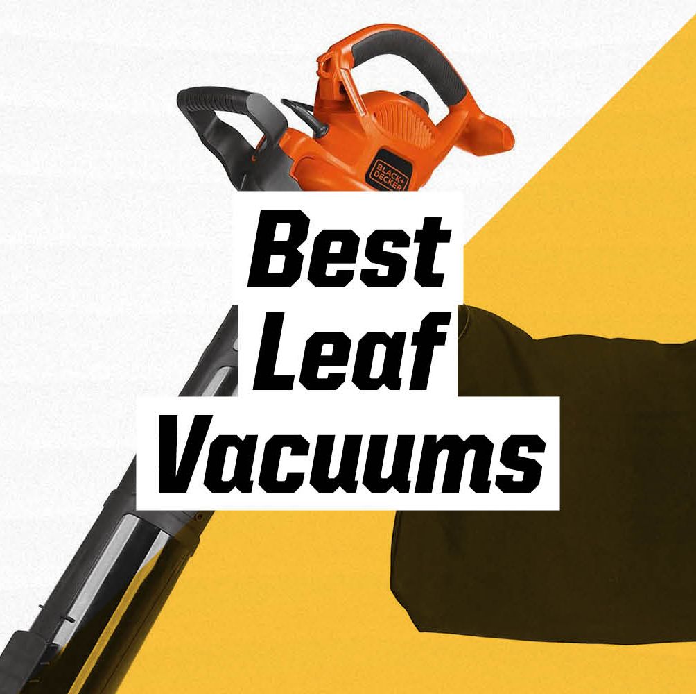 The Best Leaf Vacuums for Yard Cleanup