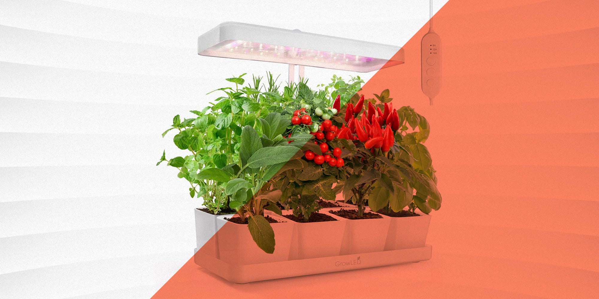 Watch Your Plants Thrive With the Best LED Grow Lights