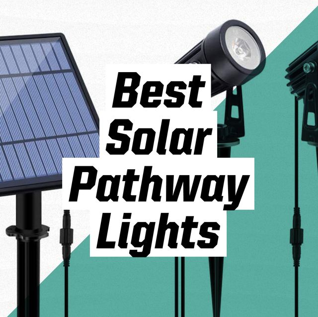 The 10 Best Solar Pathway Lights 2021, Best Solar Lights For Outdoor Trees