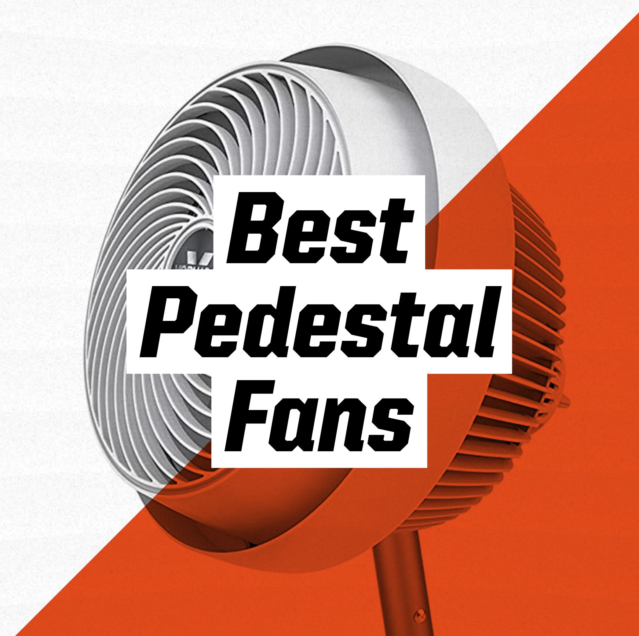 The 10 Best Pedestal Fans for Every Room in Your Home
