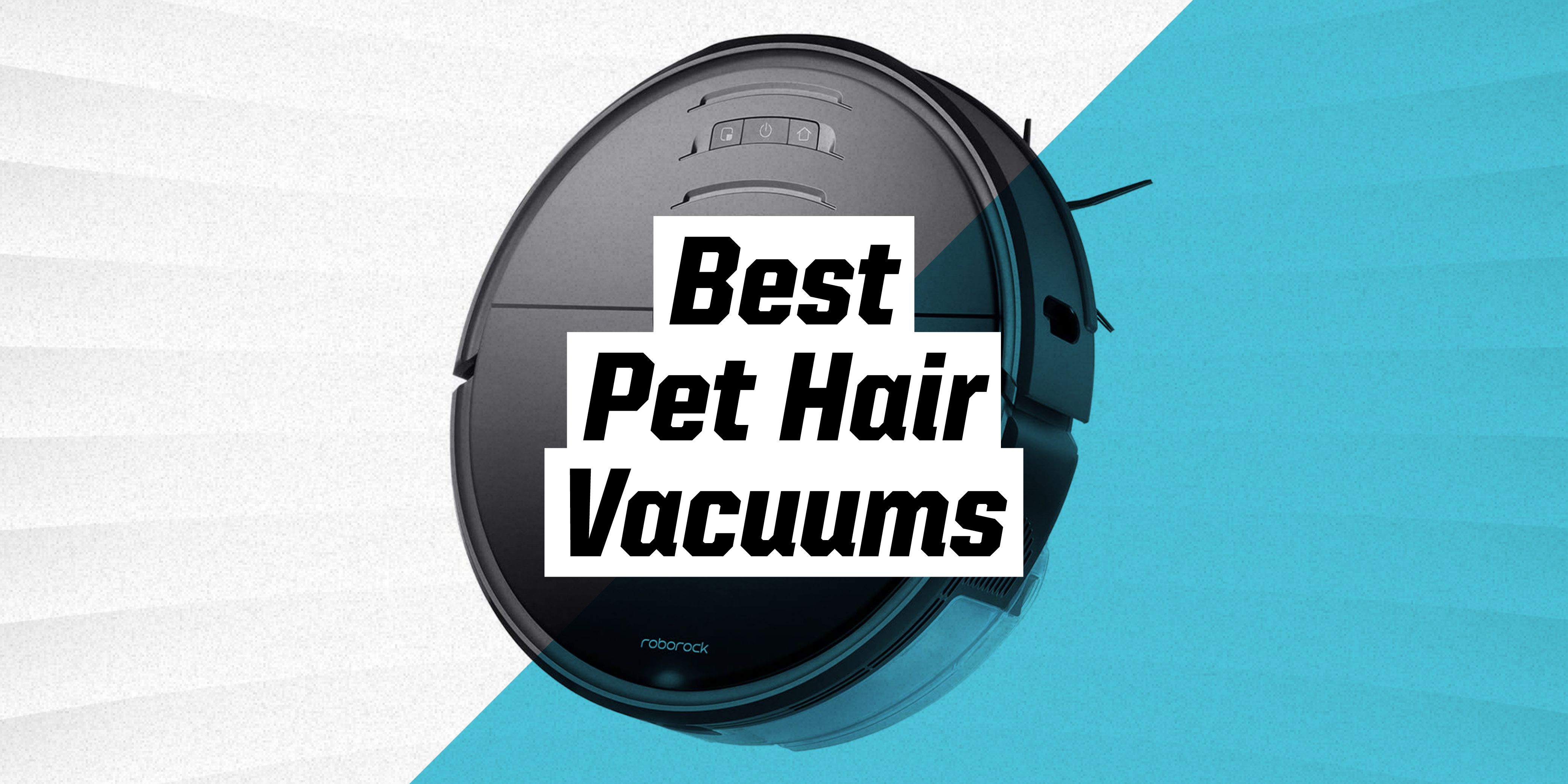 The 9 Best Vacuums For Pet Hair In 2022 TrendRadars