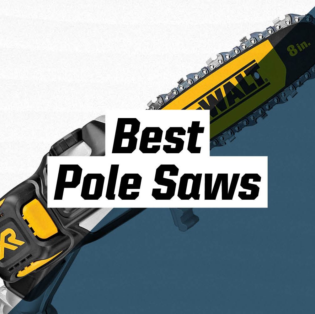 The Five Best Pole Saws for Every Tree-Pruning Job