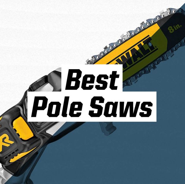 best pole saws