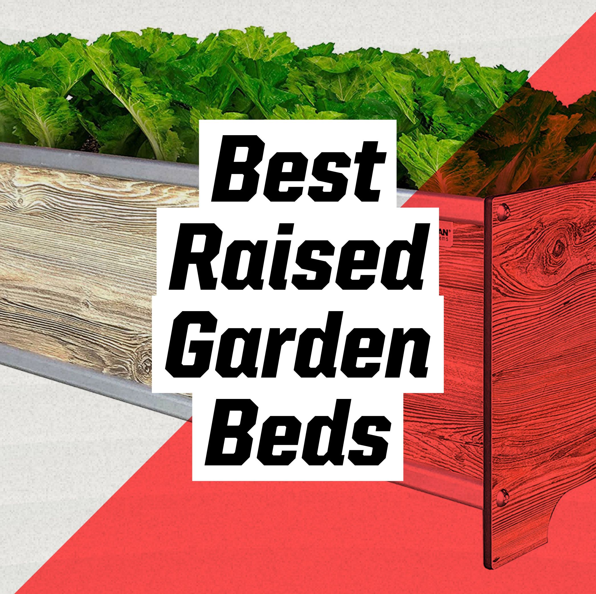 The 9 Best Raised Garden Beds for Making Your Plants Happy